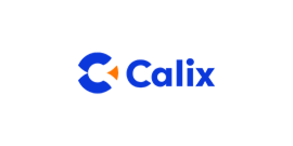 Calix P2P & Access Points