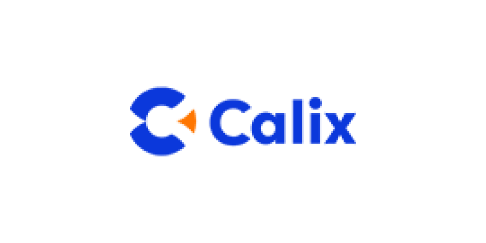 Calix Switches